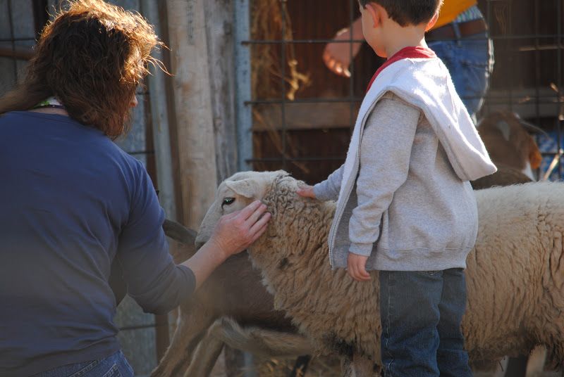 Ozark Corn Maze – photo 5
