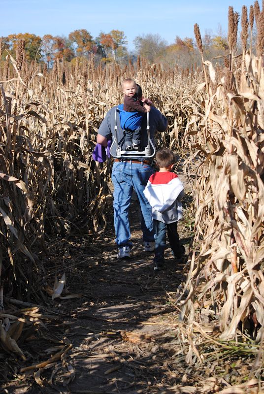 Ozark Corn Maze – photo 8