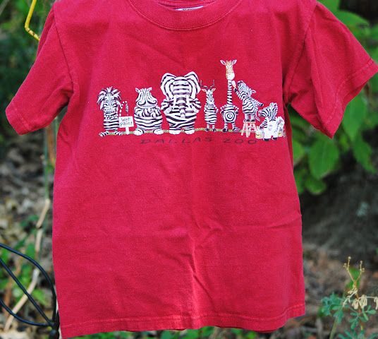 T-Shirt Makeover for Lil Fashionista