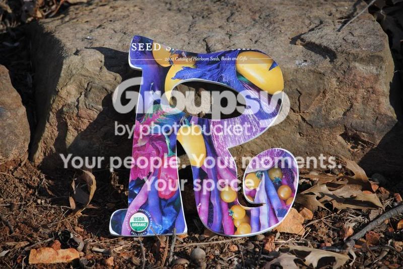2013 Word for the Year – photo 3
