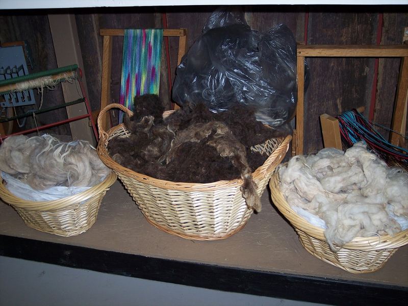 Ozark Folk Center State Park – photo 5