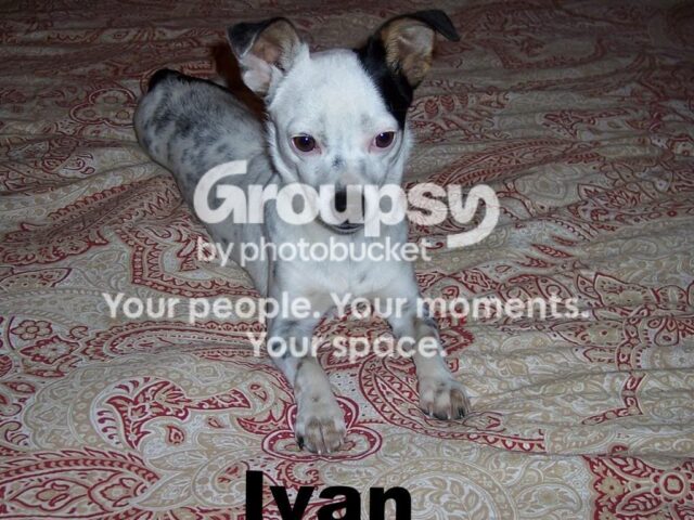 Featured at We Made That