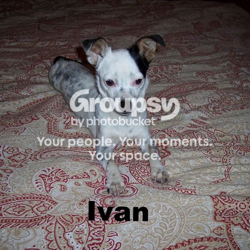 Featured at We Made That – photo 1