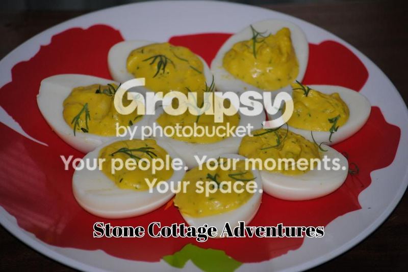 'Got Eggs? – photo 4