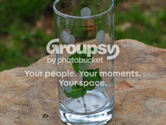 Herbs: A Place to Begin… Water