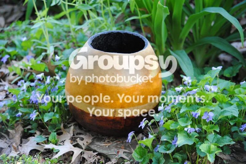 Ombre Gourd for Spring Bouquets – photo 1