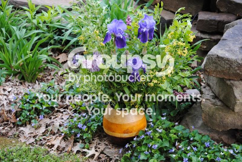 Ombre Gourd for Spring Bouquets – photo 4