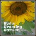 The Great Blog Train #8 AND a Giveaway!