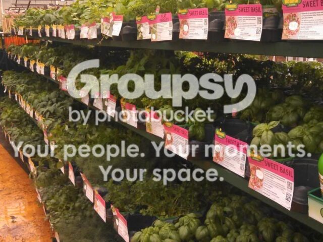 Herbs: A Place to Begin… The Purchase
