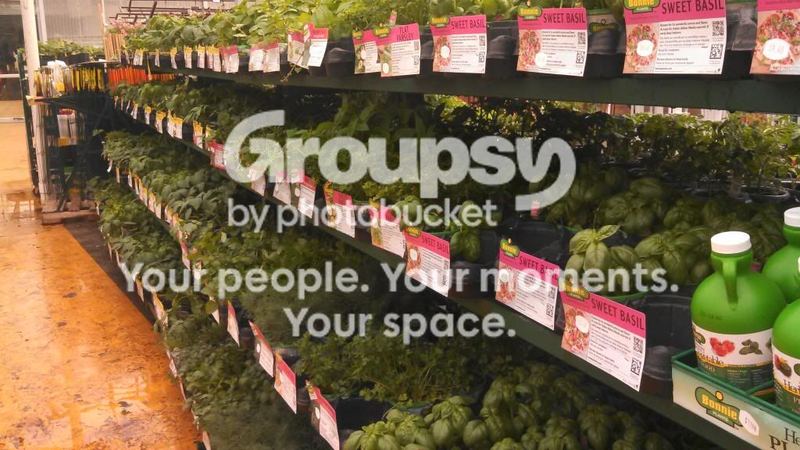 Herbs: A Place to Begin... The Purchase – photo 1