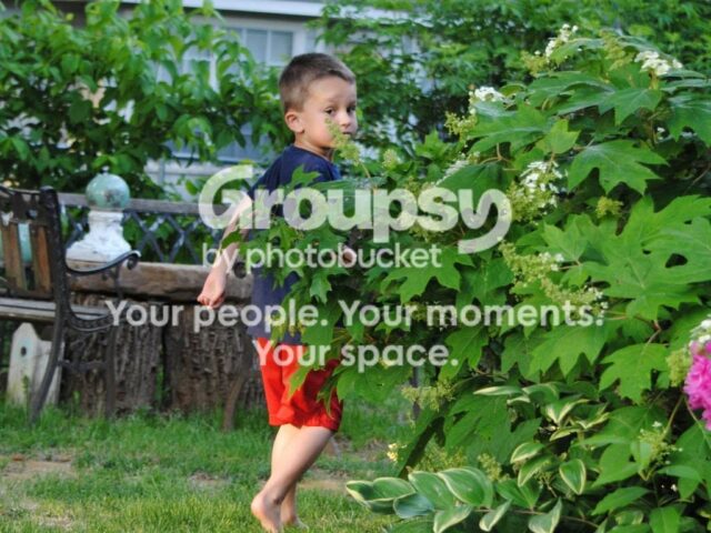 Garden Guest: Our Favorite