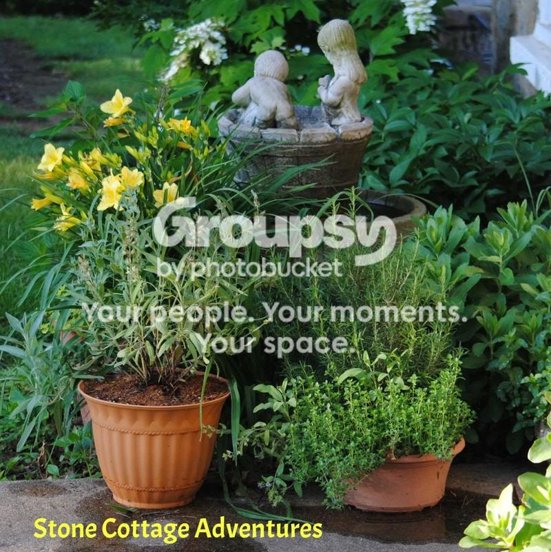 New Page for Herb Lovers! – photo 1