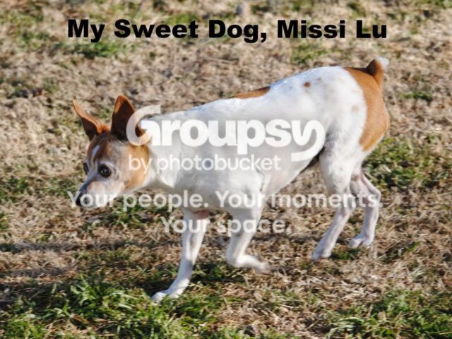 Photo f5e2bab6 5f81 43ba bd04