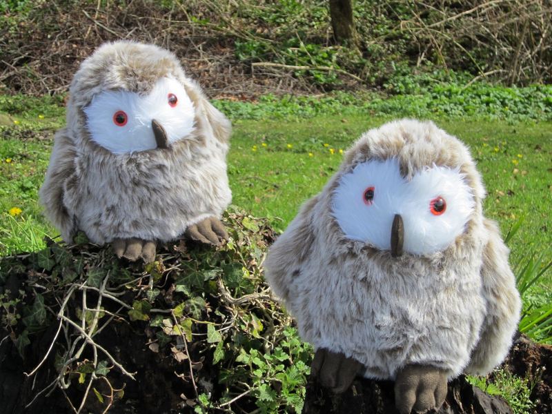 Coldham Cuddlies Calling – photo 4