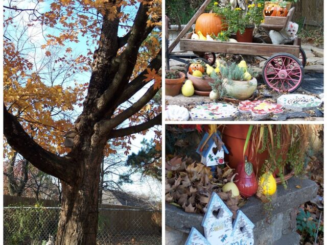 An Ozark Autumn