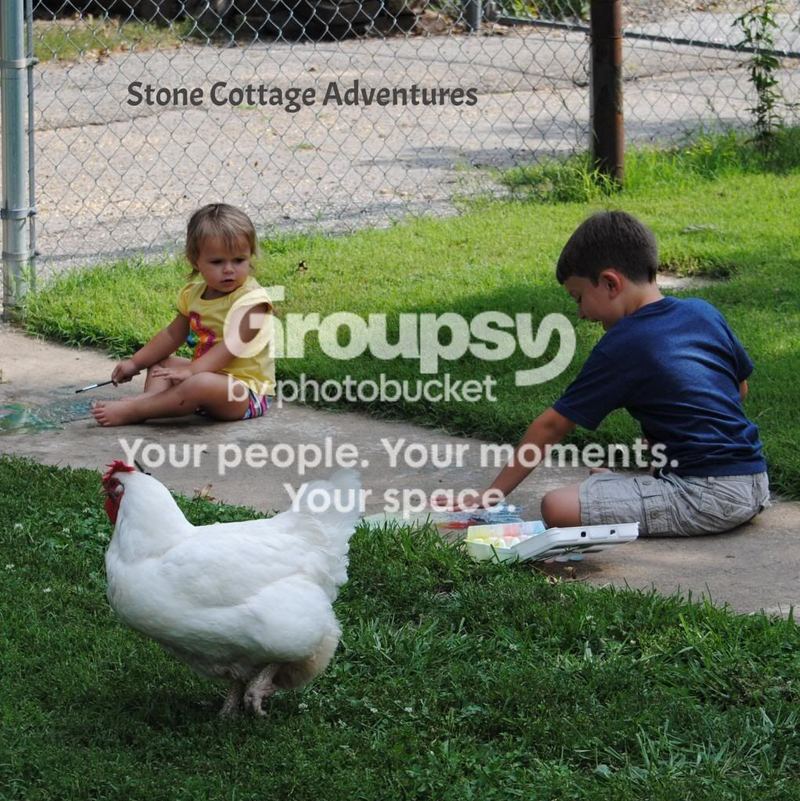 Washable Sidewalk Paint – photo 5