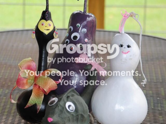 Ghoulish Gourd Gang