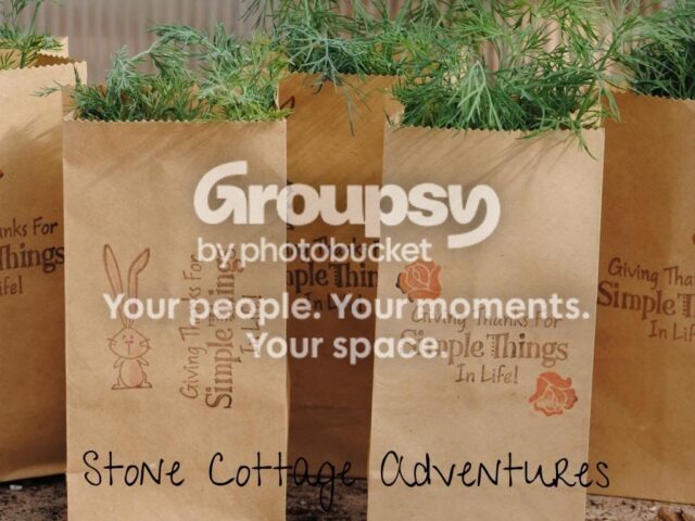 Featuring Herbs!
