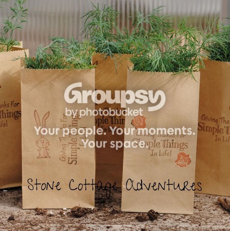 Featuring Herbs! – photo 1