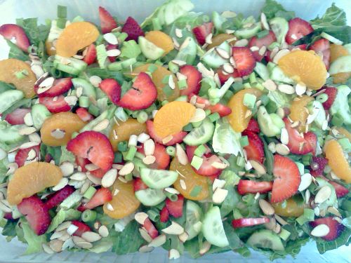 Herbs:  A Place to Begin... Snip & Enjoy – photo 5