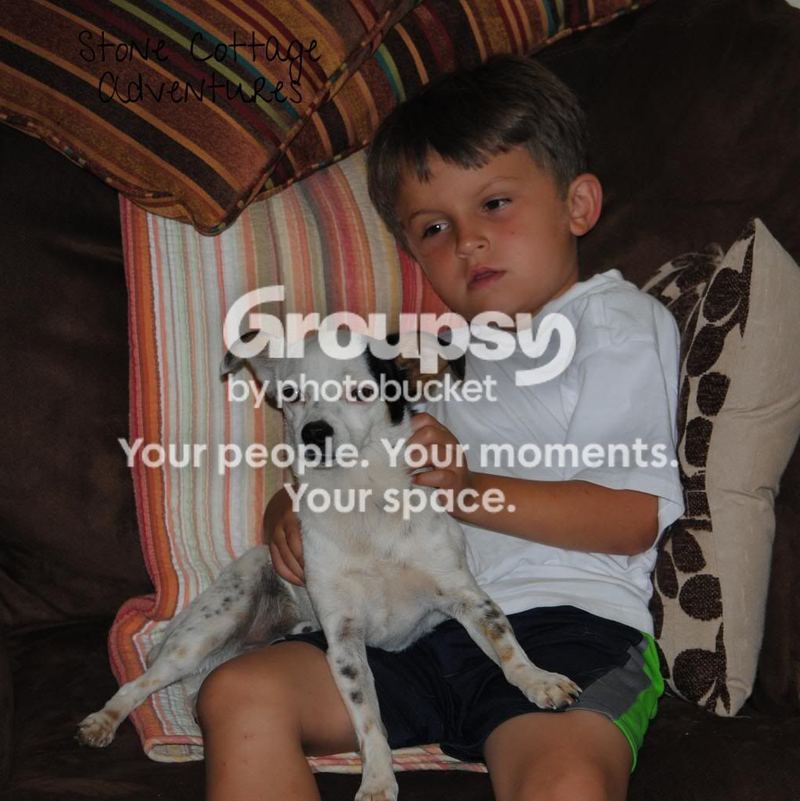 Watching a Movie – photo 1