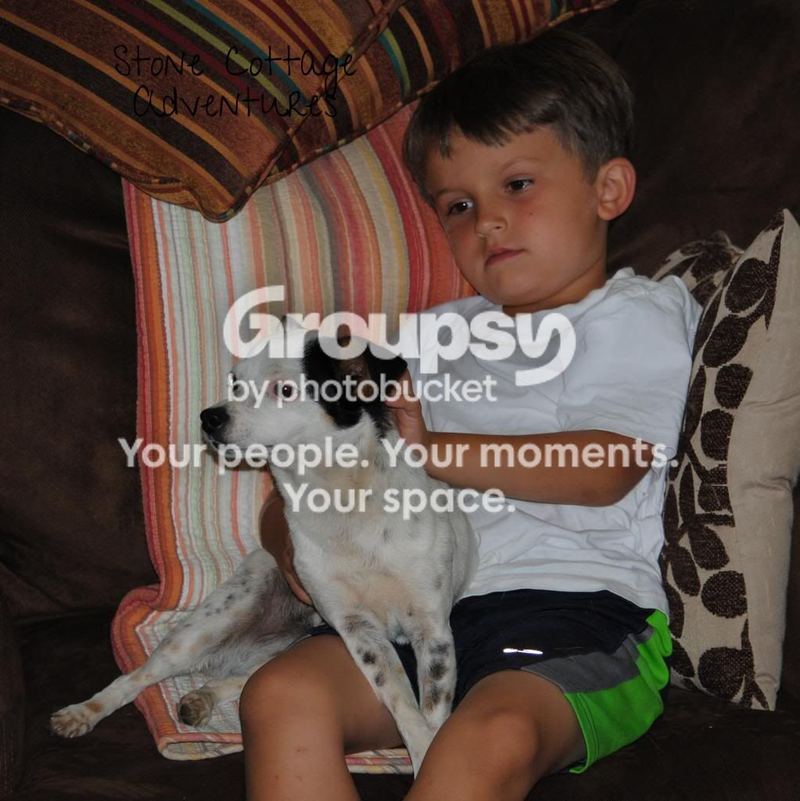 Watching a Movie – photo 2
