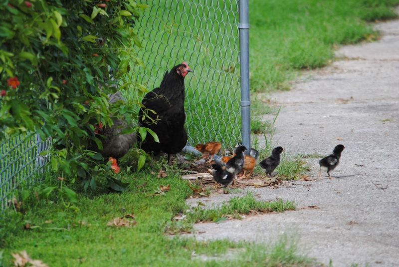Almost Wordless Wednesday – photo 2