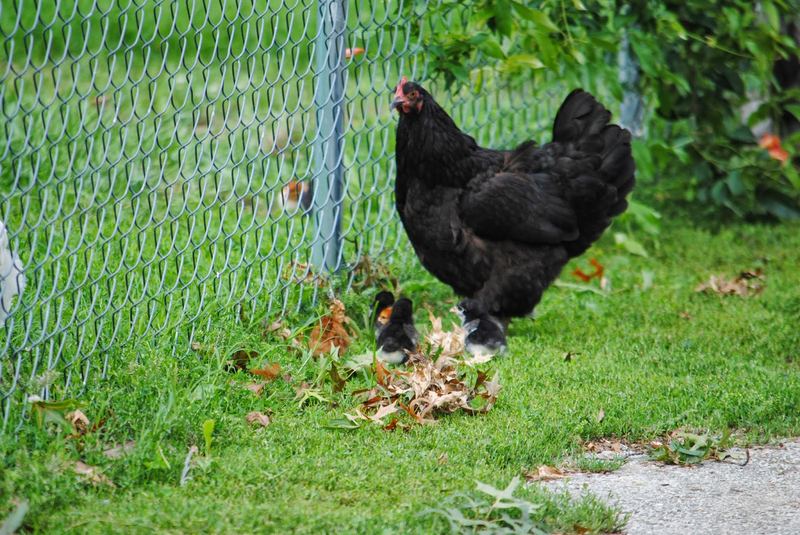 Almost Wordless Wednesday – photo 3