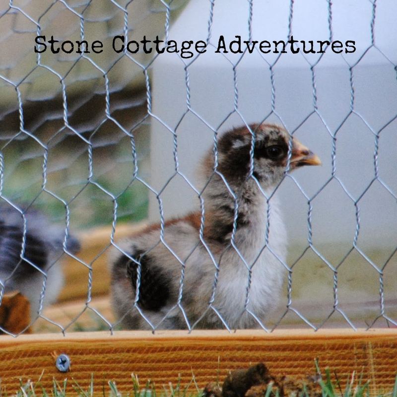 Wordless Wednesday – photo 1