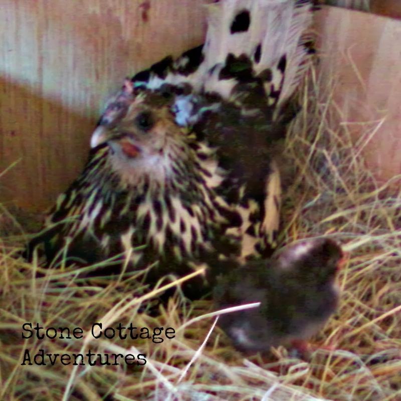 Wordless Wednesday – photo 3