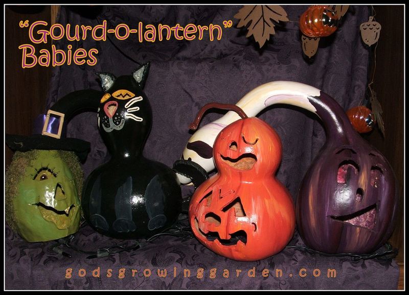 Gourd-o-lantern Babies by Angie Ouellette-Tower for godsgrowinggarden.com photo 005_zpsa1f97c03.jpg