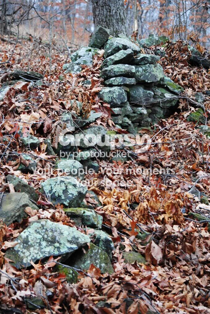 Something Doesn't Love a Wall – photo 3