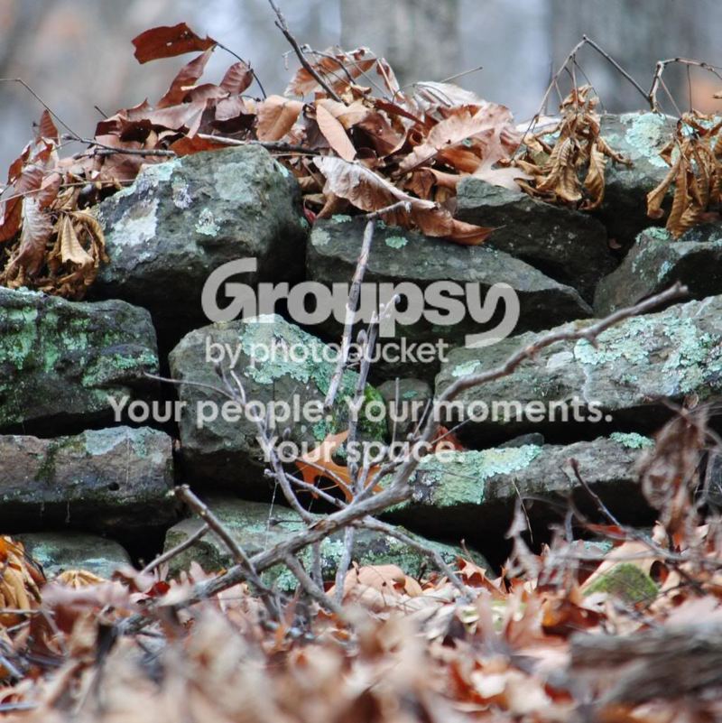Something Doesn't Love a Wall – photo 4