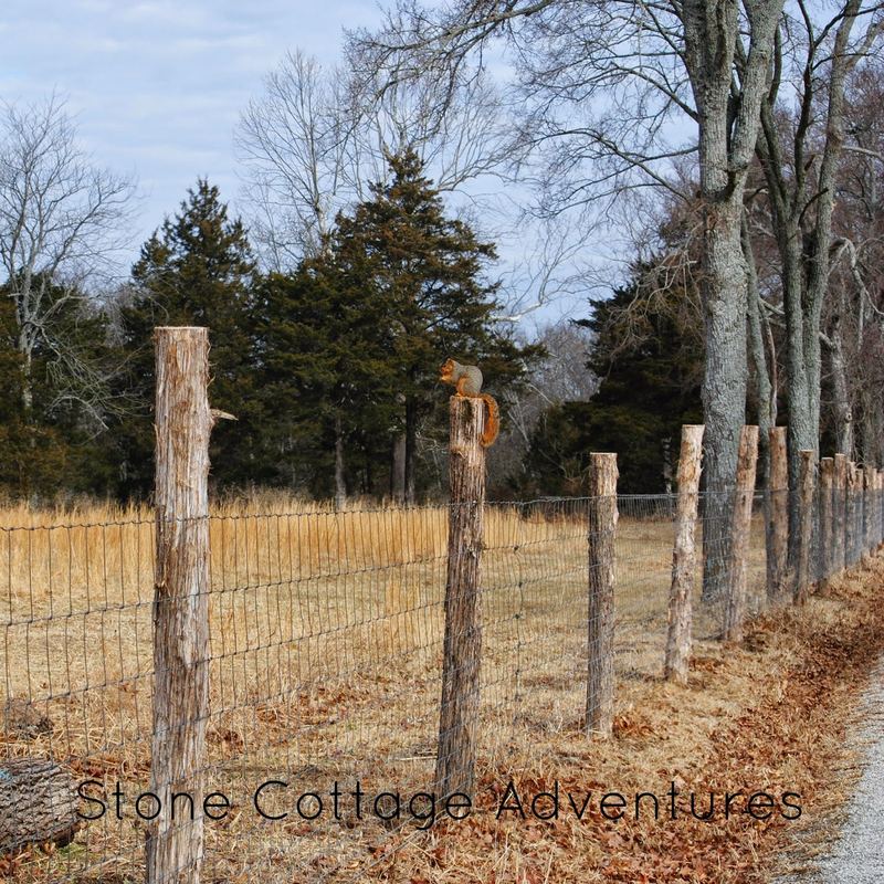 A Sunny Day in the Ozarks – photo 2