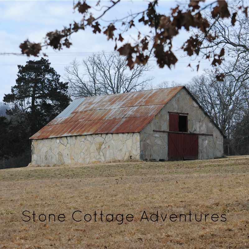 A Sunny Day in the Ozarks – photo 4