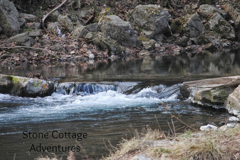 Crow beside a Stream – photo 4