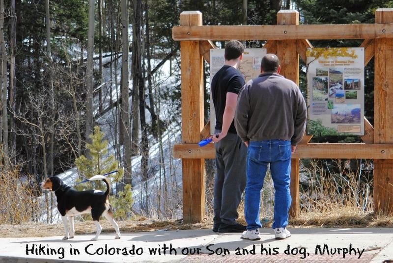 Murphy's Almost Wordless Post – photo 4