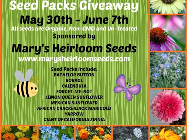 Summer Gardening Giveaway