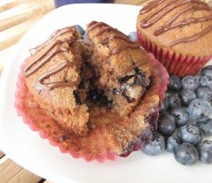 Chocolate Blueberry Muffins