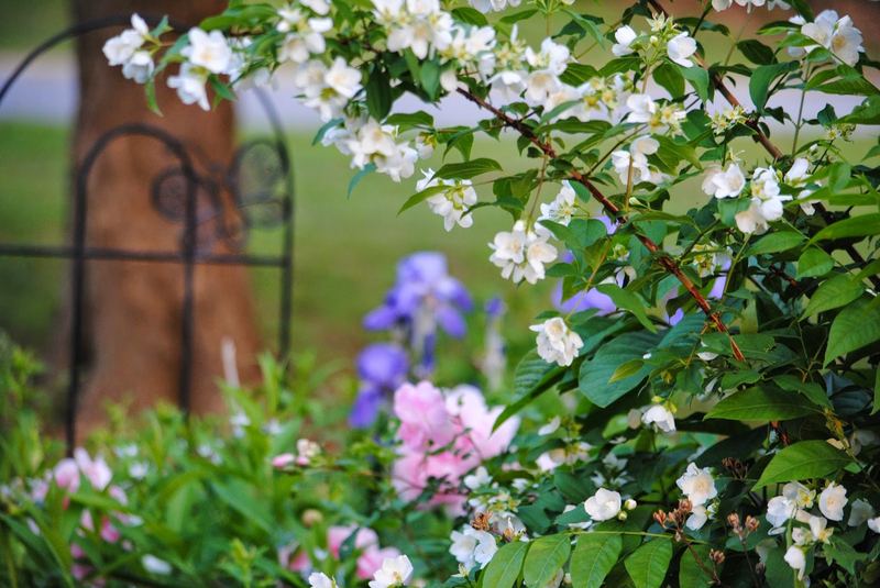 Focus? – photo 1