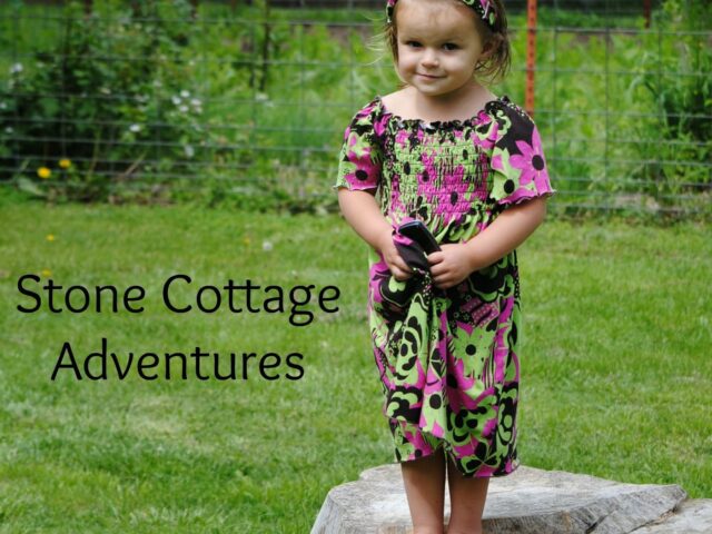The Enchanting Rose Guest Post