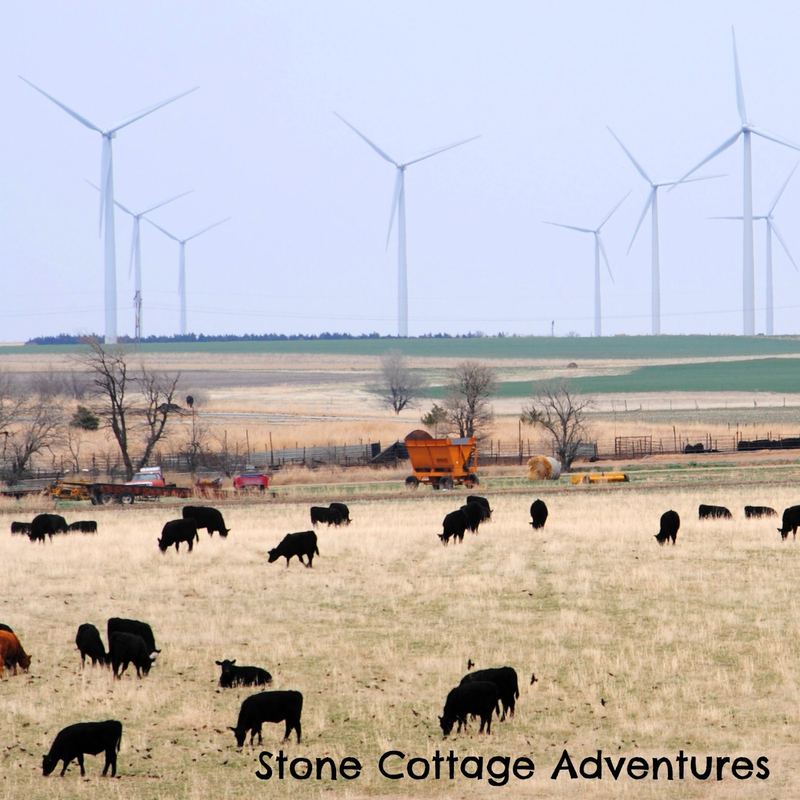 Windmills – photo 3