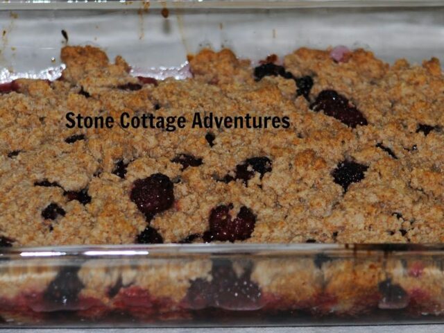 Blackberry Cobbler