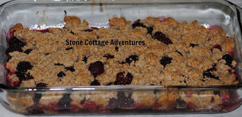 Blackberry Cobbler – photo 1