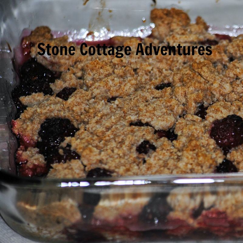 Blackberry Cobbler – photo 2