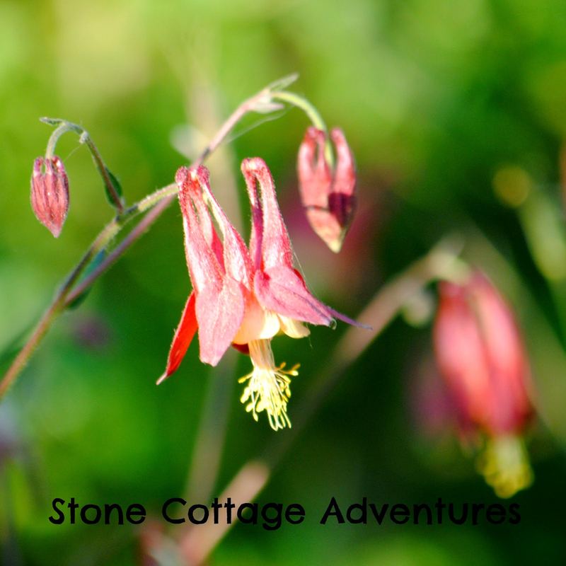 Take Time for the Little Things – photo 2