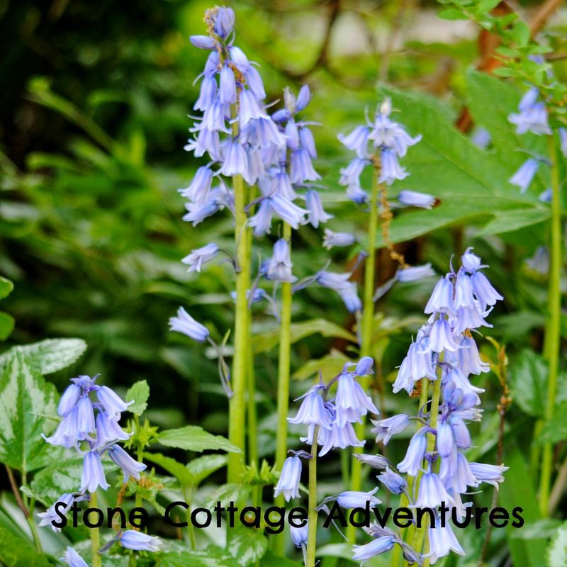Take Time for the Little Things – photo 3