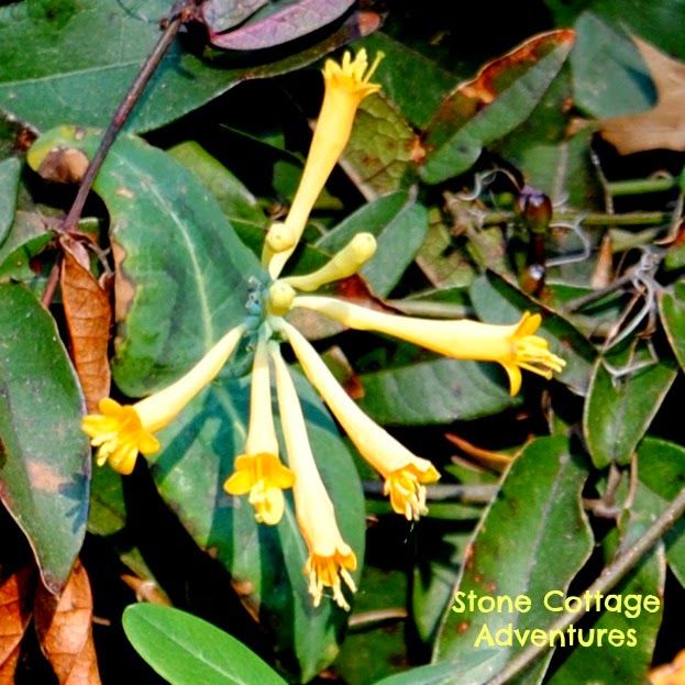 Take Time for the Little Things – photo 4