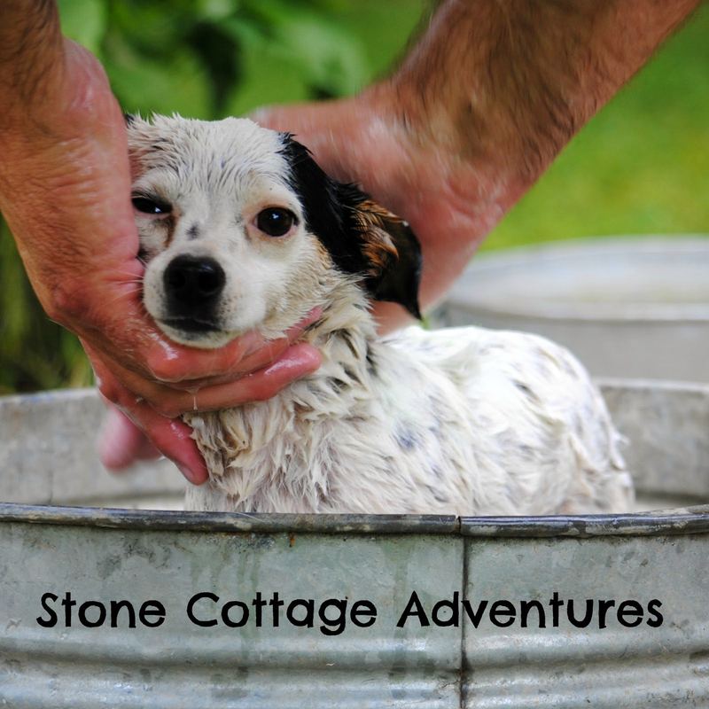 Wordless Wednesday:  Bathtime with Ivan and Abigail – photo 1