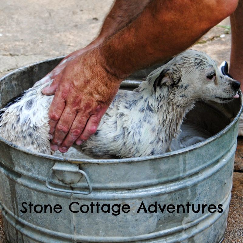 Wordless Wednesday:  Bathtime with Ivan and Abigail – photo 2